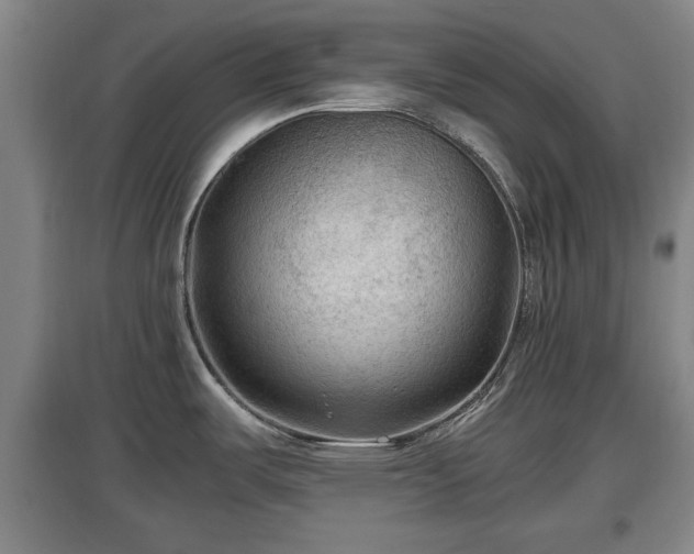 X0000097481487200802291346
