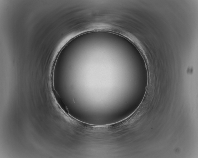 X0000097481488200802291346