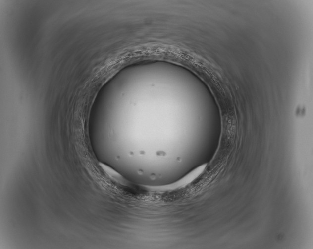 X0000097481489200802291346