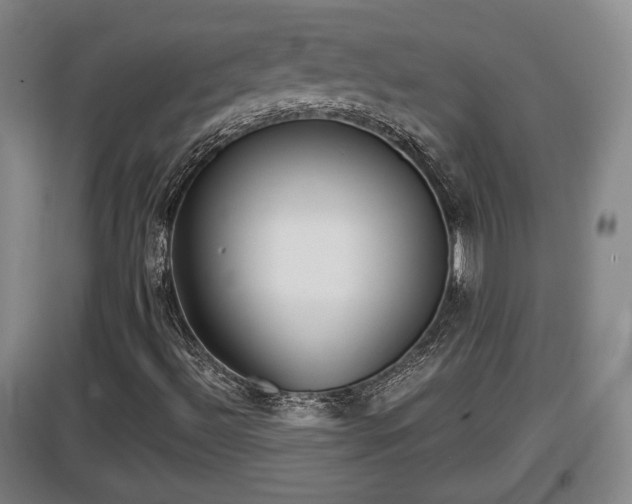 X0000097481492200802291346