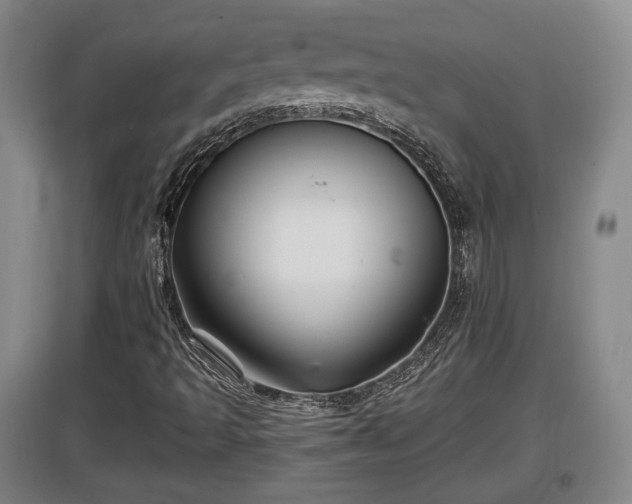 X0000097481493200802291346