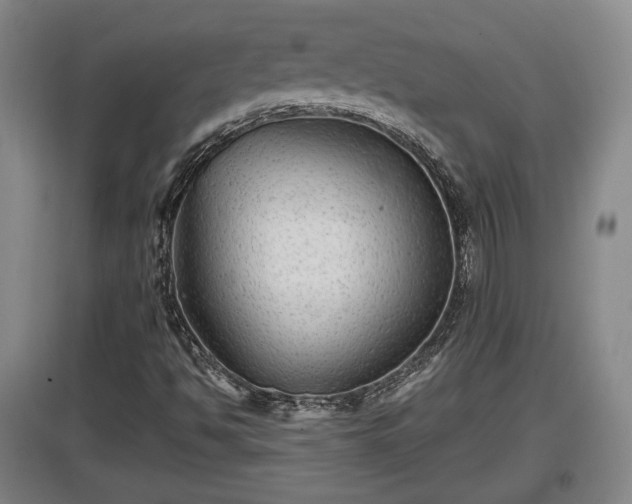 X0000097481494200802291346