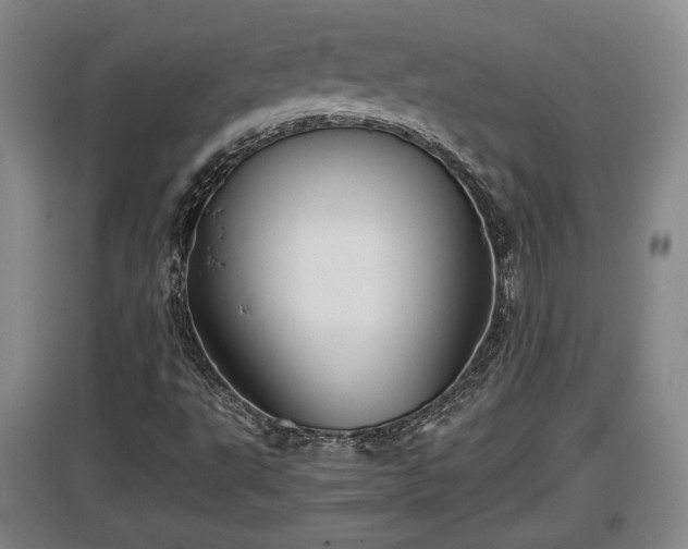 X0000097481495200802291346
