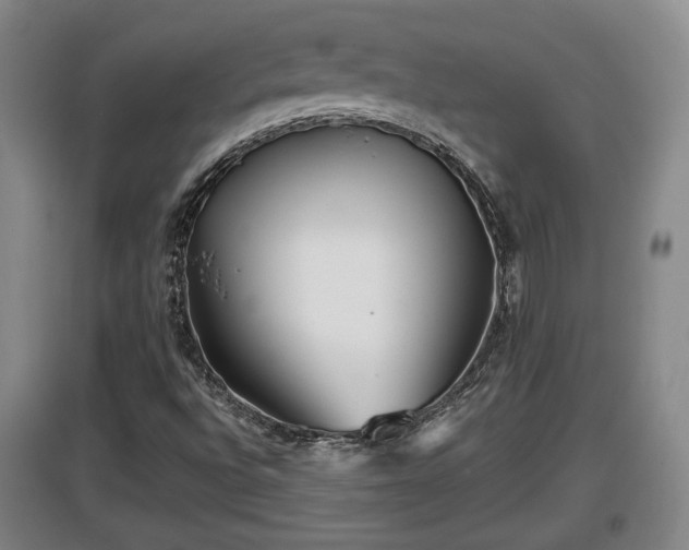X0000097481496200802291346