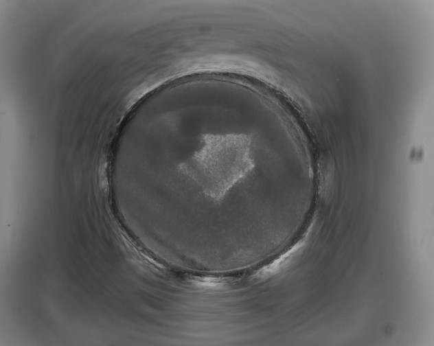 X0000097481497200802291346