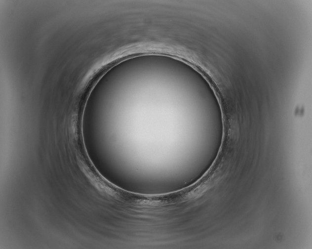 X0000097481499200802291346