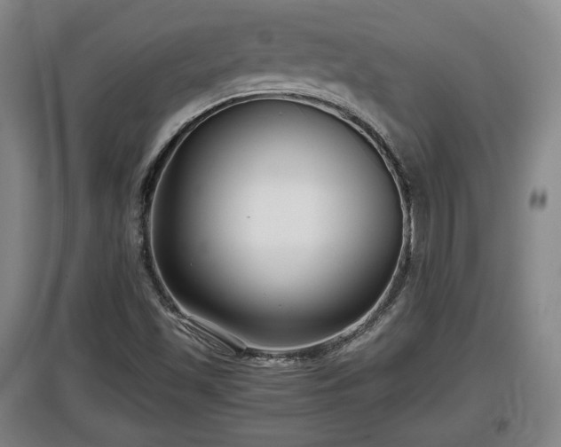 X0000097481501200802291346