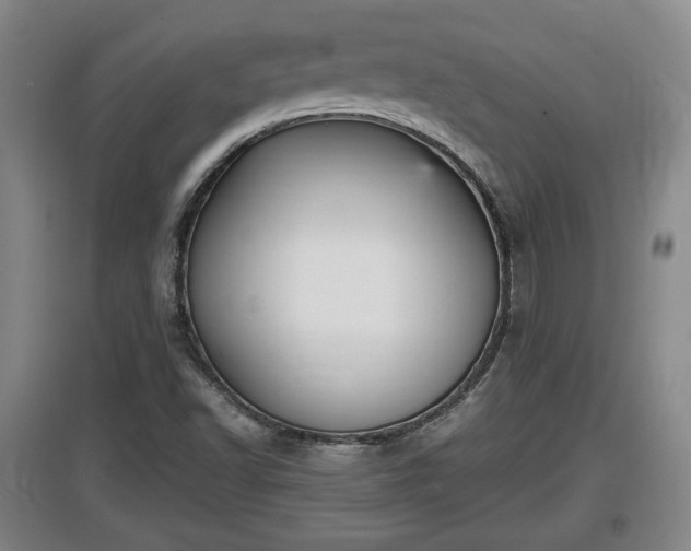 X0000097481502200802291346