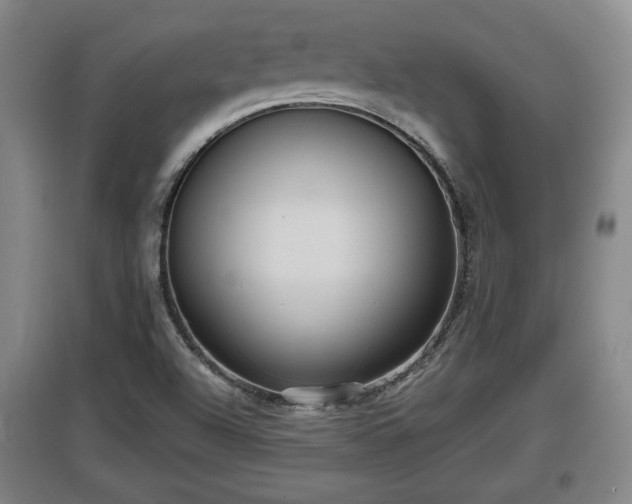 X0000097481504200802291346