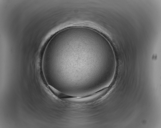 X0000097481506200802291346