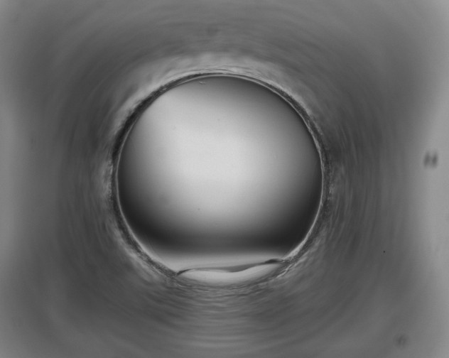 X0000097481507200802291346