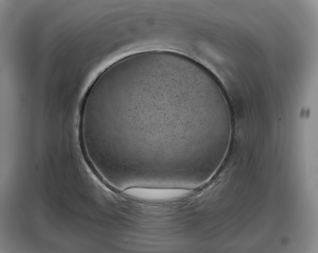 X0000097481508200802291346