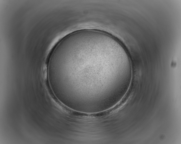 X0000097481509200802291346