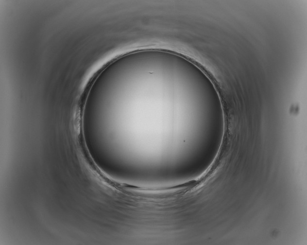 X0000097481510200802291346
