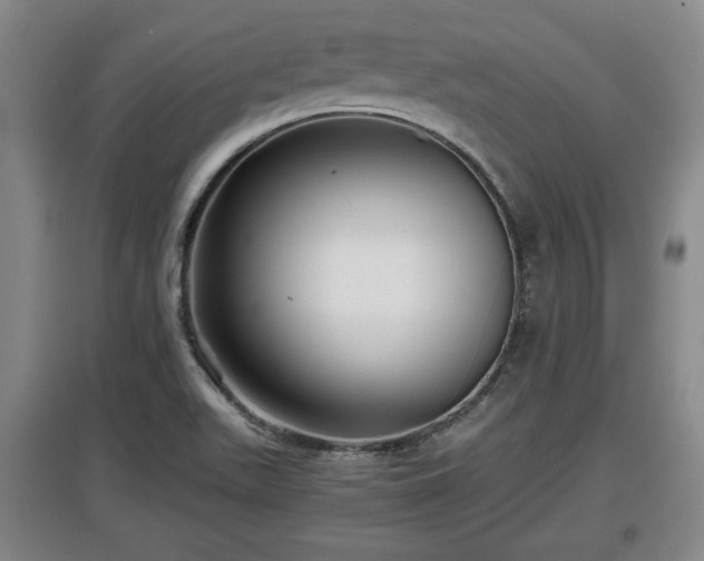 X0000097481511200802291346