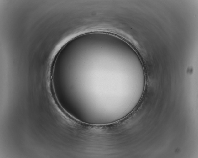 X0000097481512200802291346