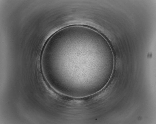 X0000097481513200802291346