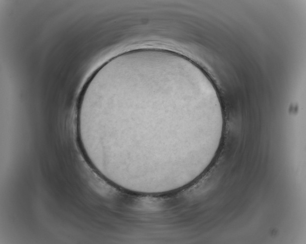 X0000097481514200802291346