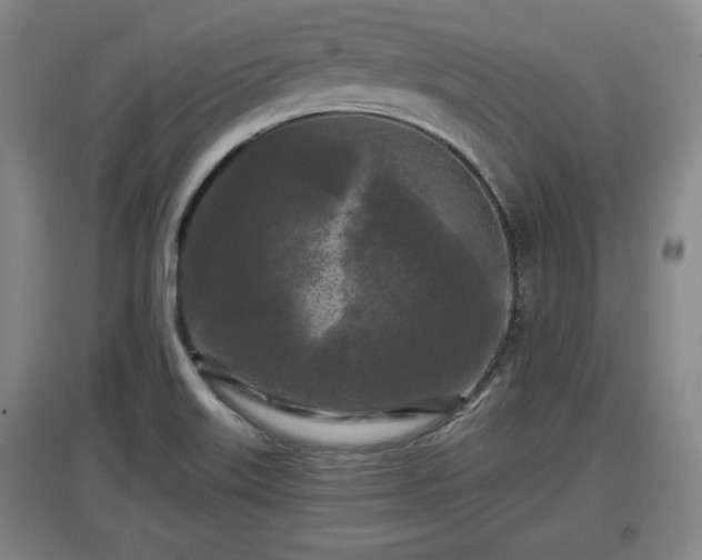 X0000097481515200802291346