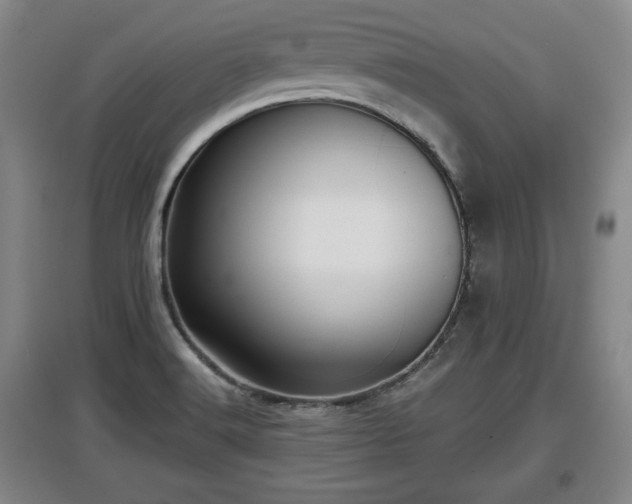 X0000097481516200802291346