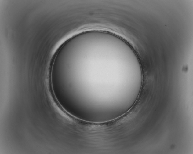X0000097481518200802291346