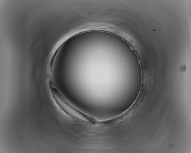 X0000097481520200802291346
