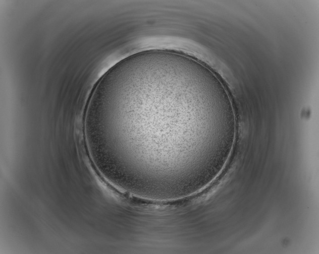 X0000097481521200802291346