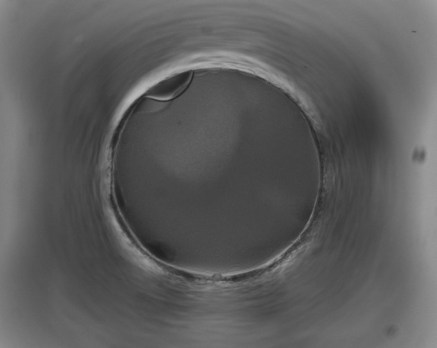 X0000097481522200802291346