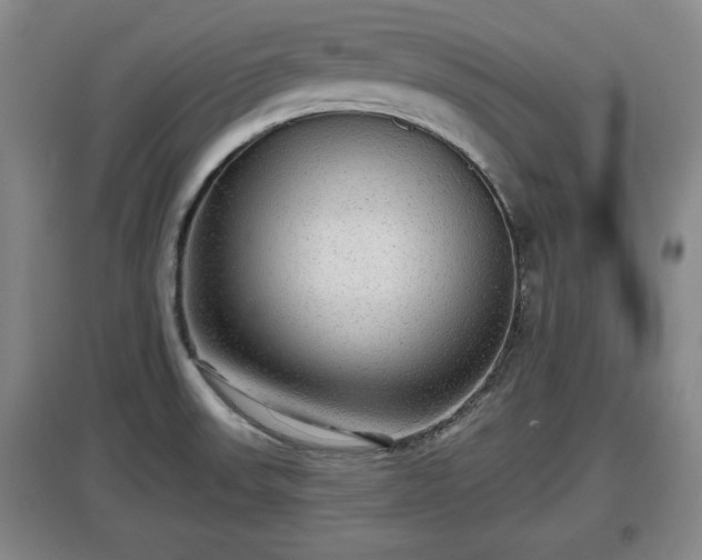 X0000097481523200802291346