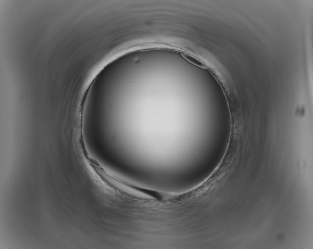 X0000097481524200802291346