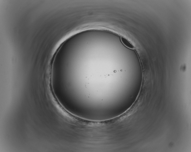 X0000097481526200802291346