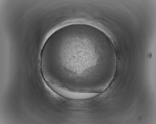 X0000097481527200802291346