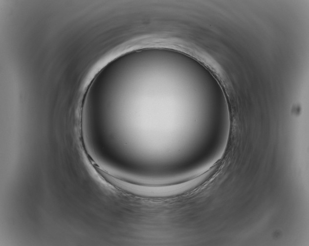 X0000097481528200802291346