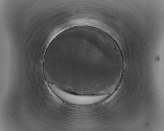 X0000097481529200802291346