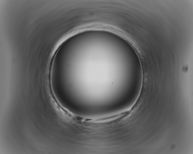 X0000097481530200802291346