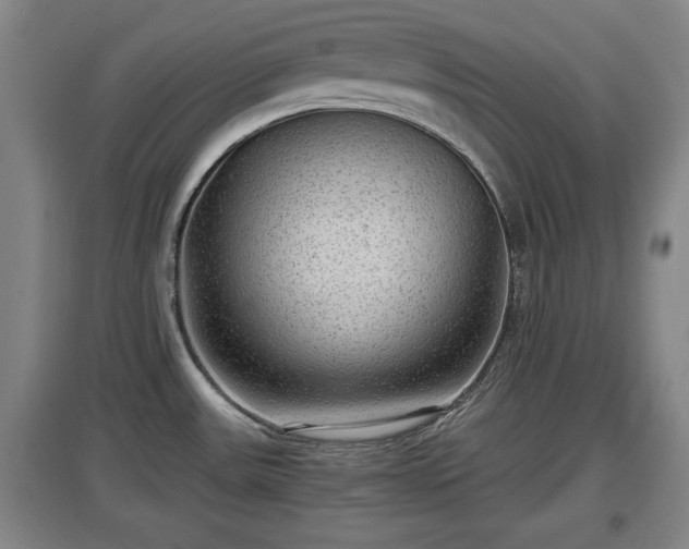 X0000097481531200802291346