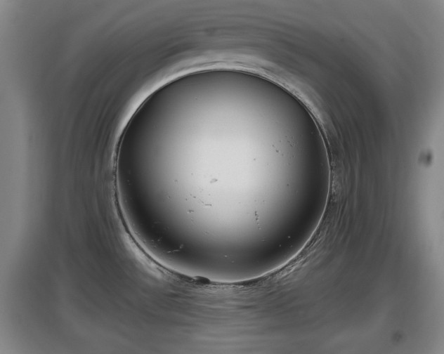 X0000097481532200802291346