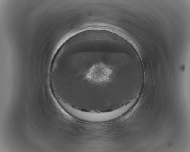 X0000097481533200802291346
