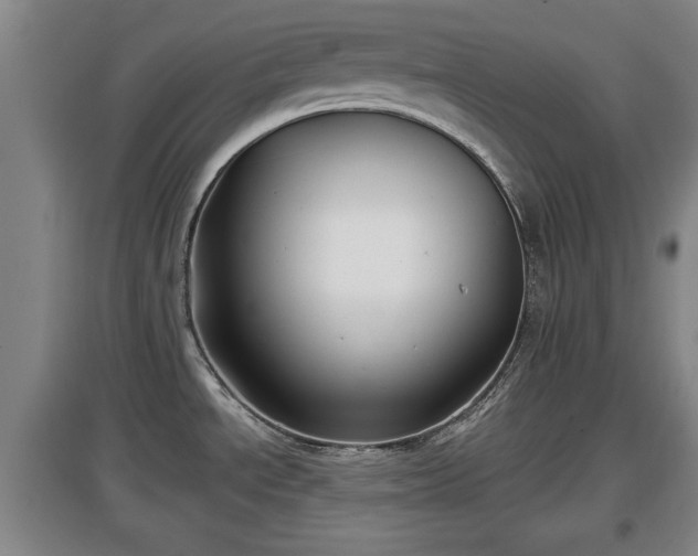 X0000097481534200802291346