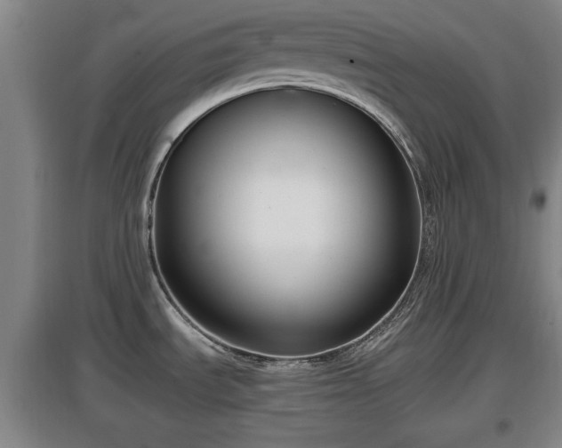 X0000097481535200802291346
