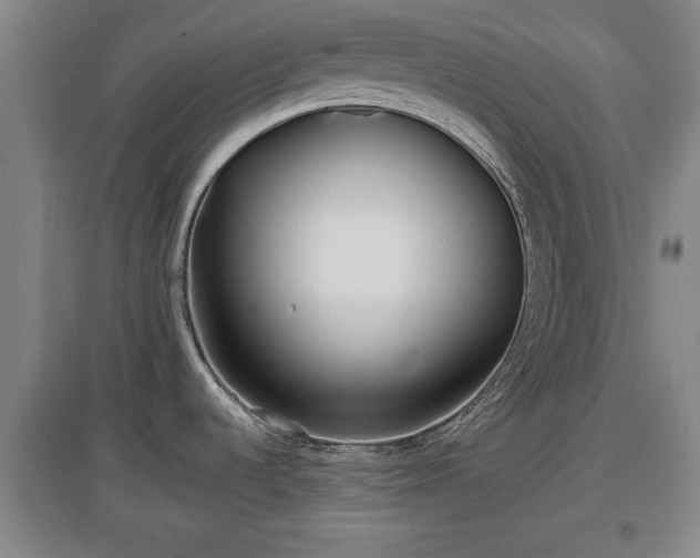 X0000097481536200802291346