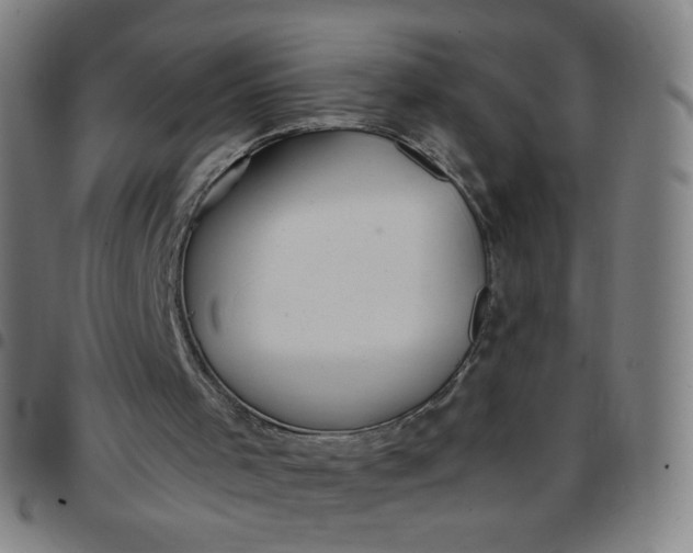 X0000097480001200803071727