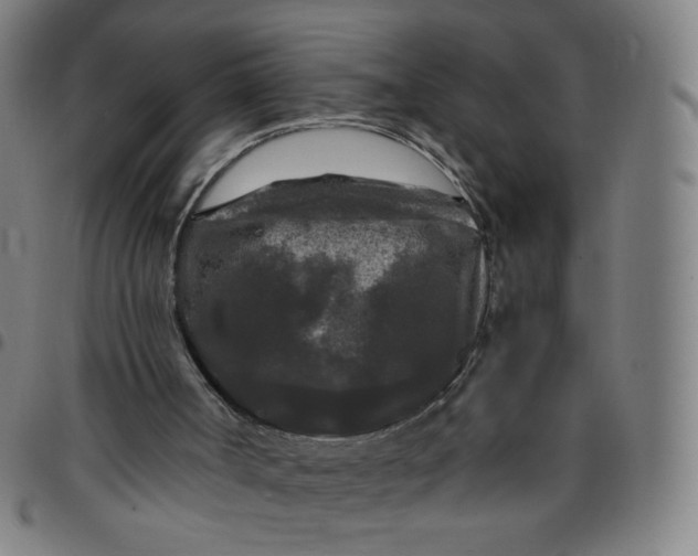 X0000097480002200803071727