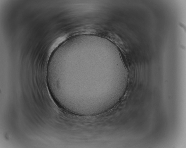 X0000097480003200803071727