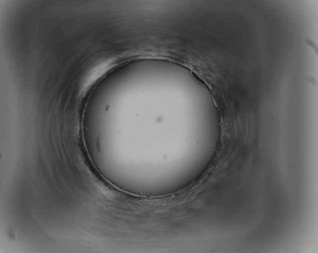 X0000097480005200803071727