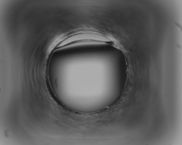 X0000097480007200803071727