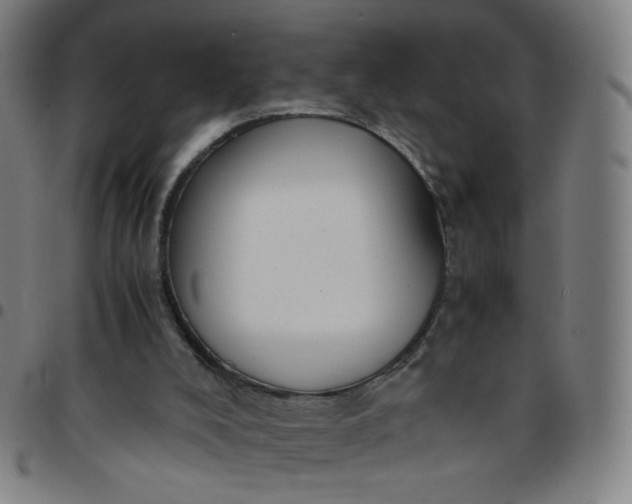 X0000097480008200803071727