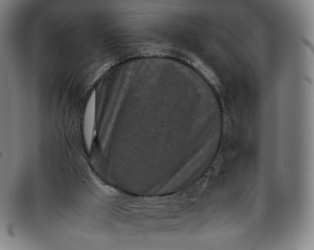 X0000097480009200803071727