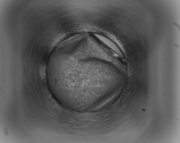 X0000097480010200803071727