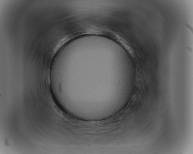 X0000097480011200803071727